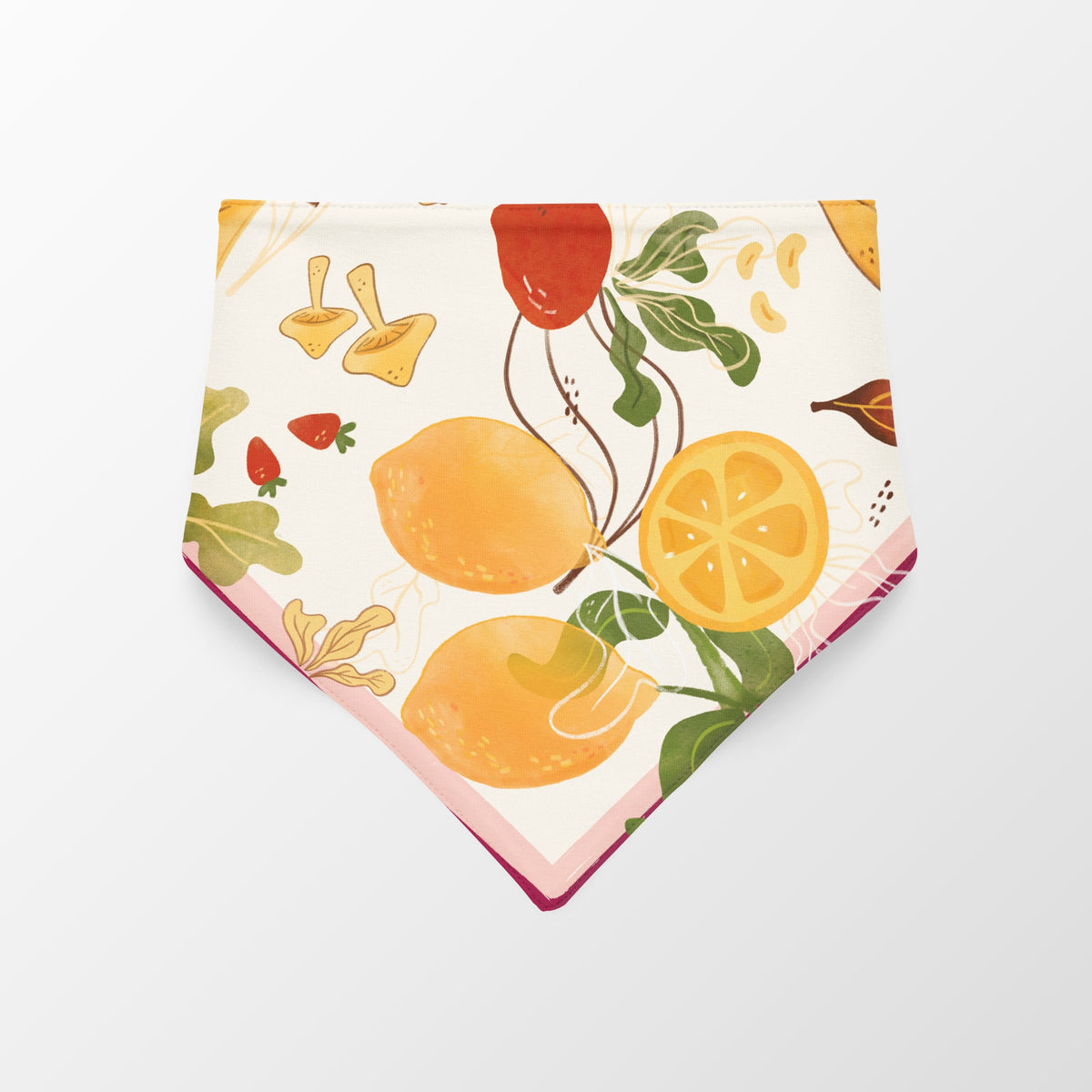 Pañoleta para perro | Frutas